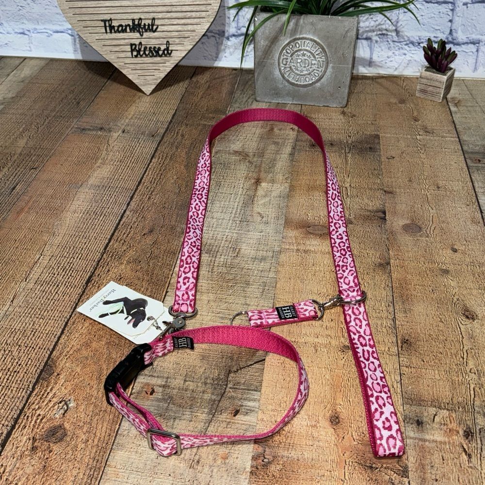 Harry Barker Collar & Leash Pink New Unused‎